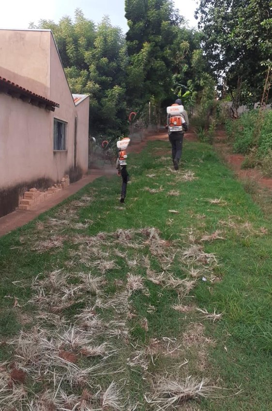 prevencao_dengue_geova_008.jpeg