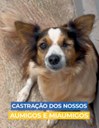 União de Minas realiza castração de cães e gatos na zona rural e urbana